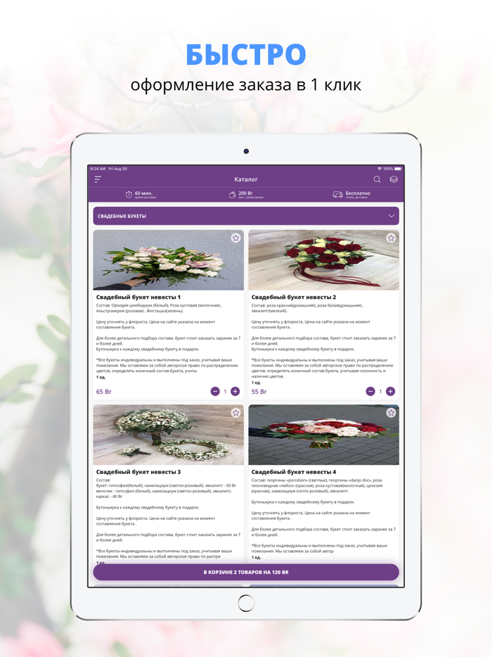 «ФАЛИНОПСИС»  Бобруйск