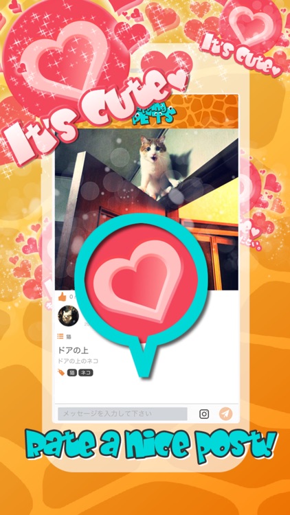 SNAPPING PETS ~ Pets & Animal