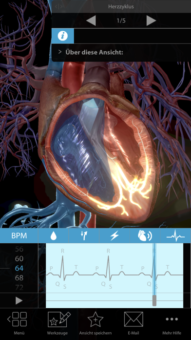 Physiologie & Pathologie app screenshot 0 by Visible Body - appdatabase.net