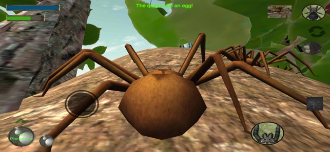 Spider Colony Simulator(圖3)-速報App