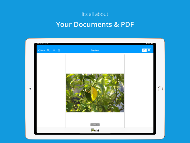 ‎File Pro - Easy Files & PDF Screenshot