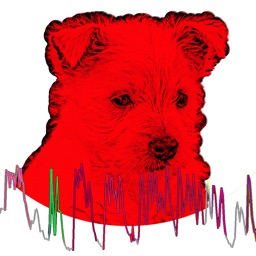 Dog Mood Monitor: Bark'n Mood