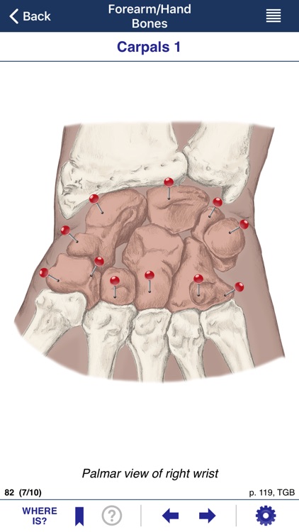 AnatomyMapp screenshot-3