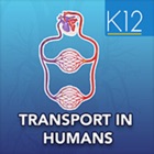 Top 39 Education Apps Like Transport in Humans- Biology - Best Alternatives