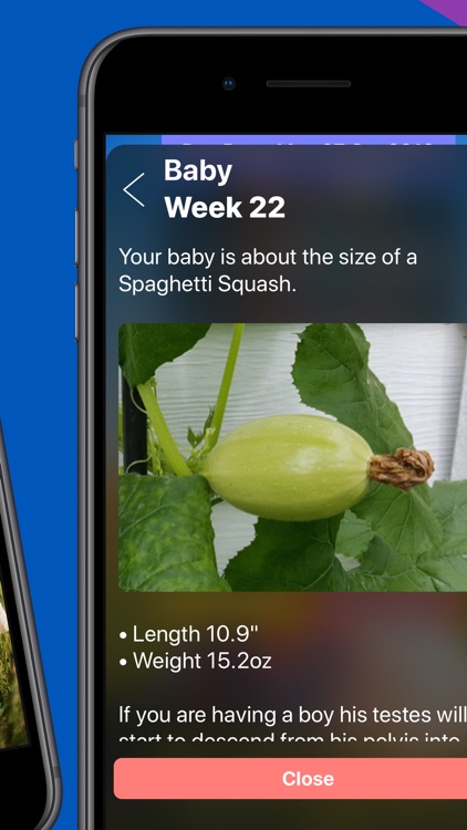 Pregnancy Today - Baby Tracker