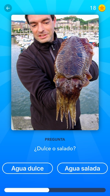 WeFish Quiz