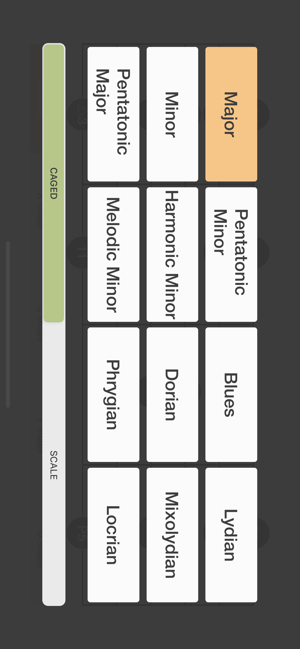 Learn Guitar Scale(圖4)-速報App
