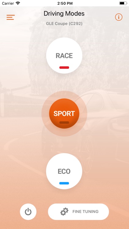 RaceChip+