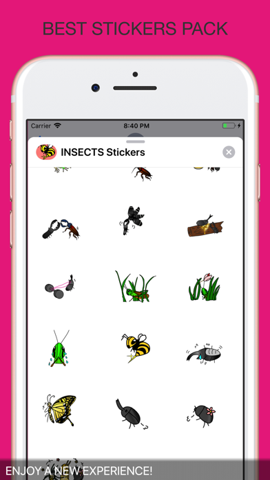 INSECTS Animal Stickers screenshot 4