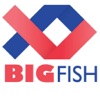 BigFish Ventures App