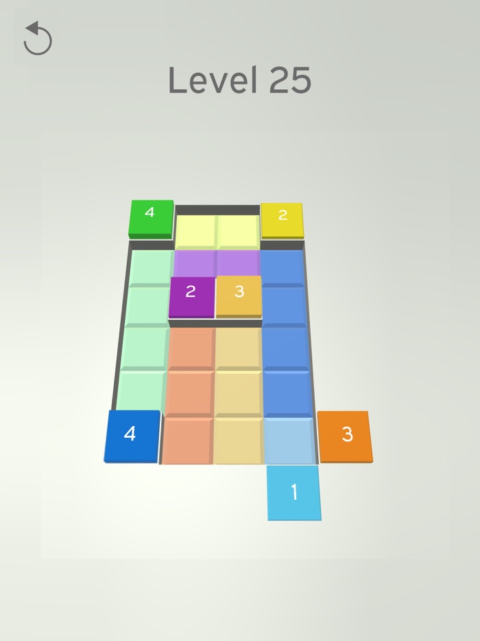 Sliding Blocks Puzzle
