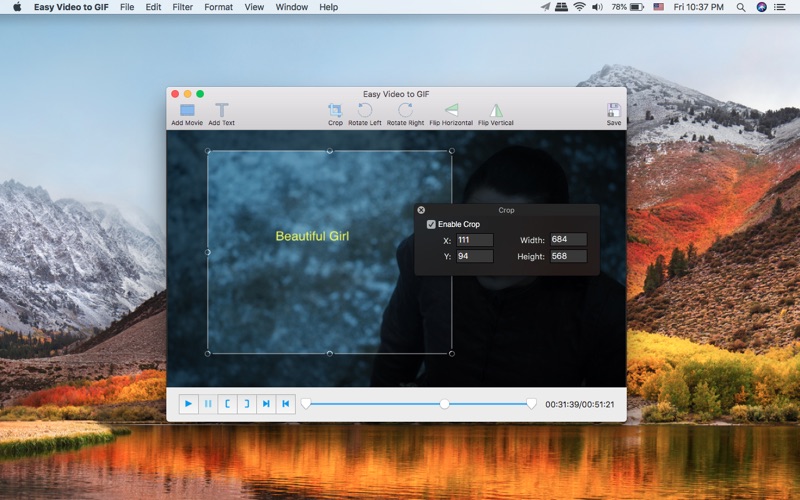 【图】Easy Video to GIF(截图2)