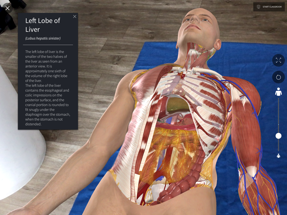 Complete Anatomy Platform 2020 App for iPhone - Free ...