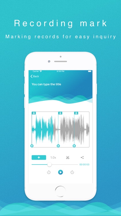 Voice Recorder—recorder instru