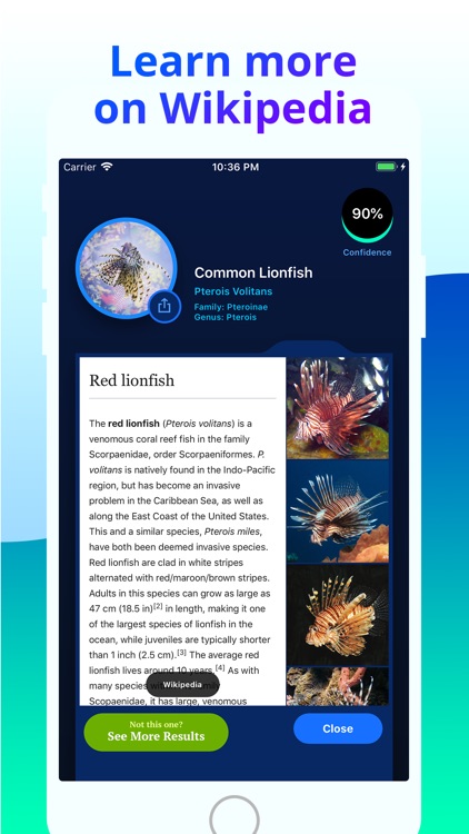 Fish Identifier screenshot-4