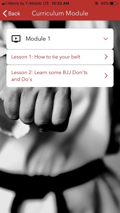 Jiu Jitsu Foundation screenshot 3