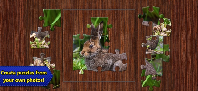 Jigsaw Puzzles Epic(圖4)-速報App