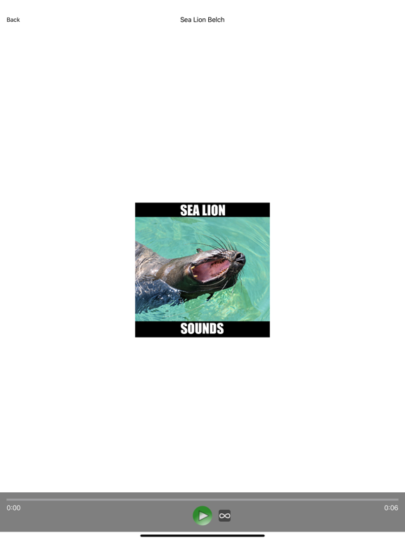 Sea Lion Sounds screenshot 4