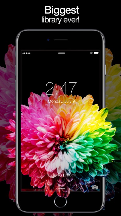 Aesthetic Live Wallpapers