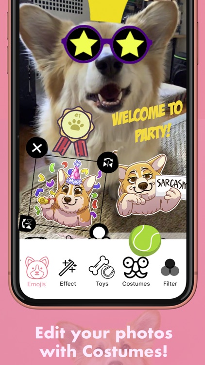 MaxiMojis - Corgi dog stickers screenshot-4