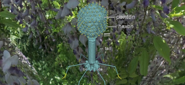 Bio Virus Structure in 3D(圖7)-速報App