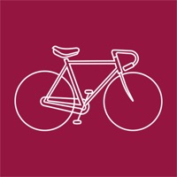 Velouse - Vélo Toulouse Erfahrungen und Bewertung