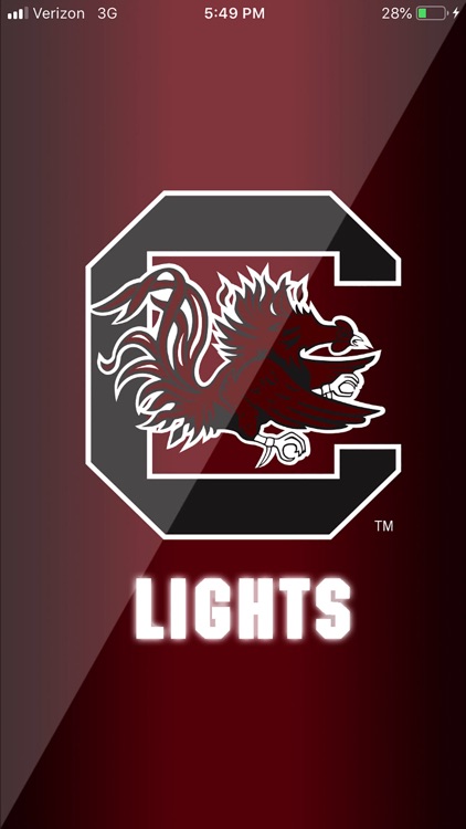 Gamecock Lights