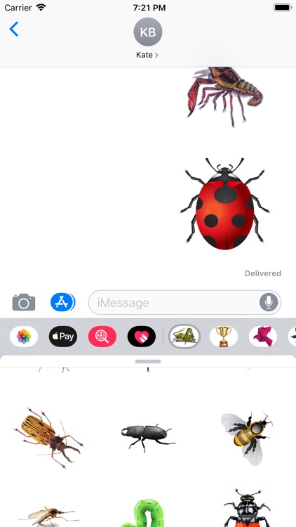 Insects Stickers screenshot-4