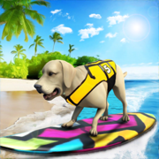 Dog Surfing Championship 2020