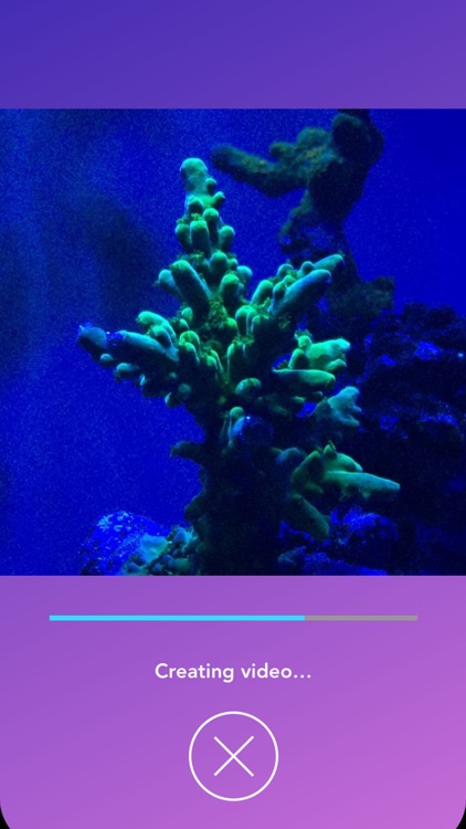Aquarium Time screenshot-6