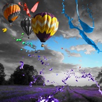 @Doodle pour PC