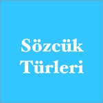 Sözcük Türleri