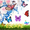 Escape - The Butterfly Go Up