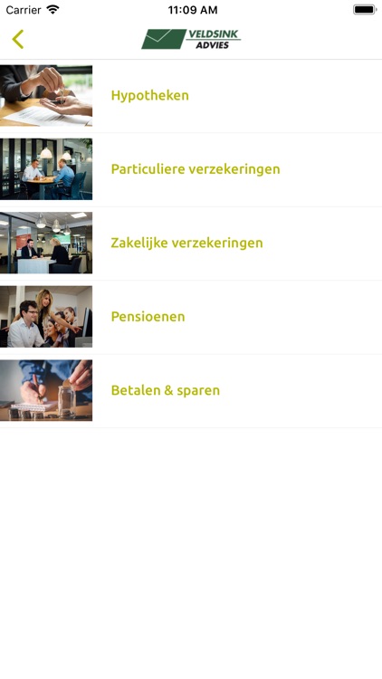 Veldsink Advies screenshot-4