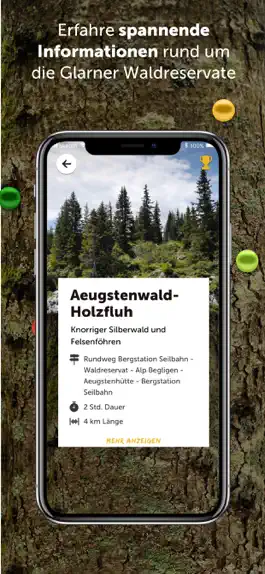 Game screenshot Glarner Waldperlen mod apk