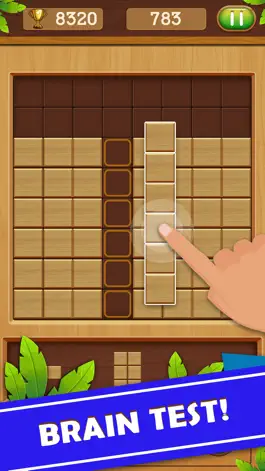 Game screenshot Wood Block Puzzel apk