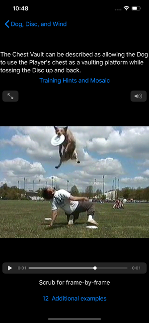 Dog, Disc, and Wind