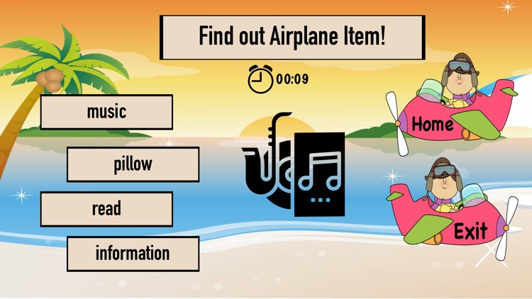 Airplane Item screenshot-3