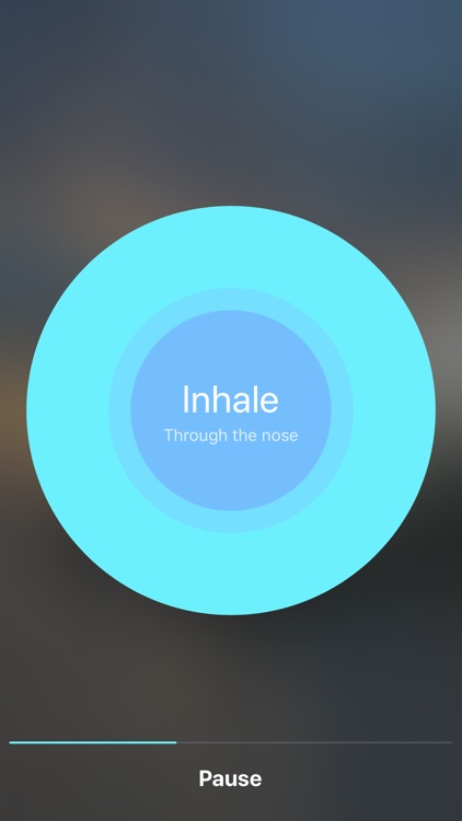 Pine - Deep Breathing screenshot-7