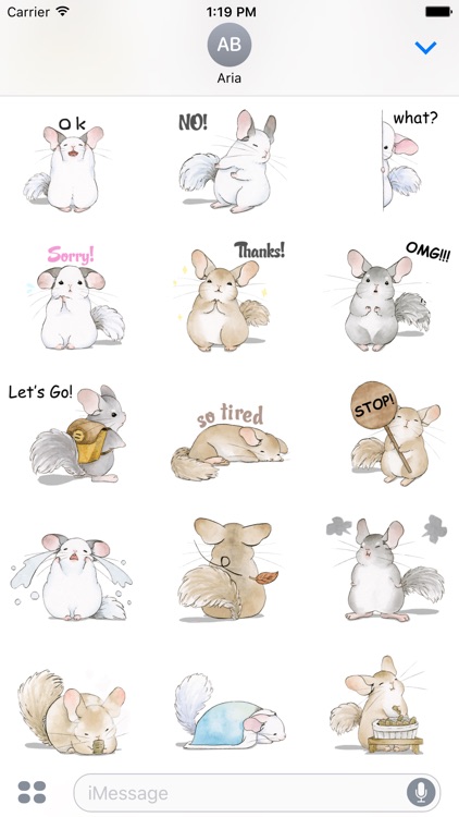 Adorable Chinchilla Sticker