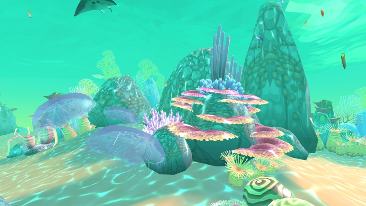 PI VR Coral Reefs