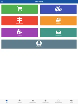Captura 2 ERP iphone