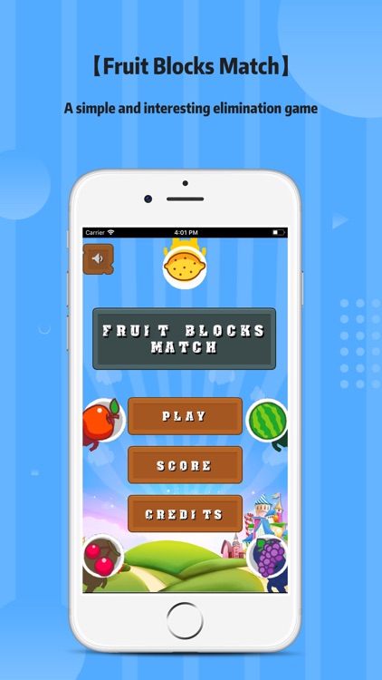 Fruit Blocks Match