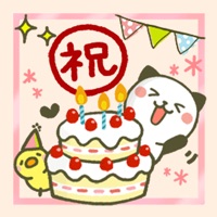 Kitty Panda Congrats