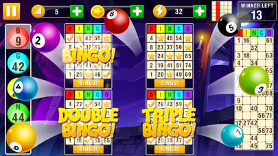 Bingo Card Game screenshot 2
