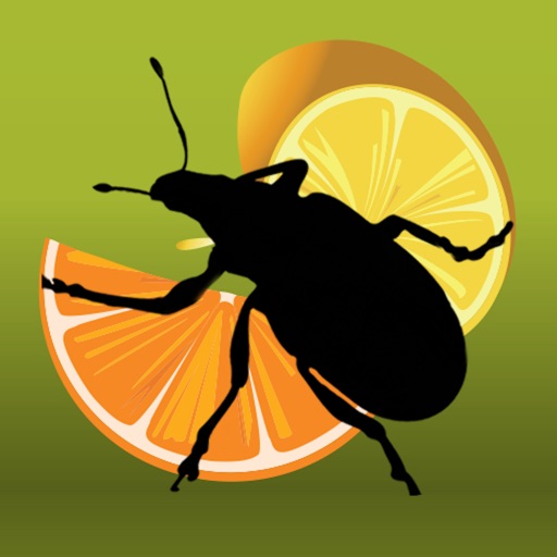 Citrus Pests Key