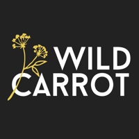 Wild Carrot pour PC