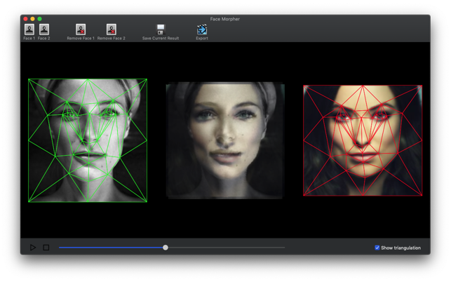 Face Morpher