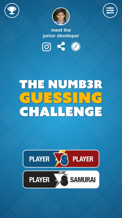 The Number Guessing Challenge screenshot-0