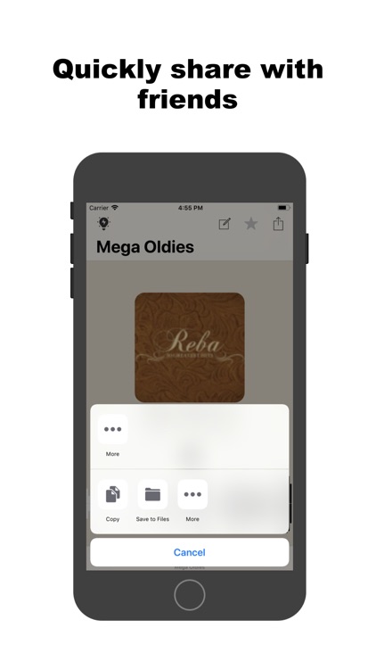 MegaOldies screenshot-3